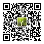  Quality course network_mobile WeChat