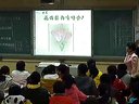 初中生物《开花和结果》魏翠娜新密市超化二初中_2013郑州初中生物优质课视频