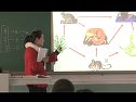 初中生物生物与环境组成生态系统高婷_2014甘肃省教师白板说课及实录