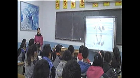 8A Unit6 Birdwatching Integrated Skills张淑银麒麟中学