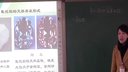 铝的化合物氧化铝氢氧化铝_徐雪梅江苏省高中化学优秀课评比