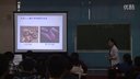 2015年江苏省高中生物优质课评比视频_基因突变颜红淮阴中学