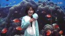 2015年江苏省小学课外英语优秀短剧表演3 -deep ocean story
