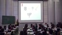 北师大版二年级下9汉字丁丁冬冬学识字(二)成都市彩虹小学