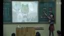 郑州市管城区优质课三年级Unit 4 We love animals Part B Let's
