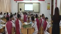 《插花艺术》2016年初中劳动与技术优秀课课堂教学实录-易璐2016