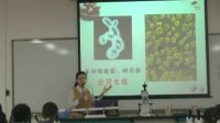 东莞市初中生物教学优质课《真菌》东莞中学松山湖学校王宁(附课