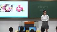《花钱的学问2购物场所我知道》小学品德与社会人教版-福建省南平