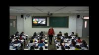 四年级上册《美丽的生命》小学品德与社会人教版-濉溪县