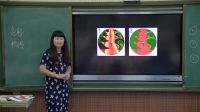 《装饰色彩》小学美术人美版-武汉市