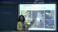 第六节《鸟》初中生物人教版-大石桥市第三初级中学