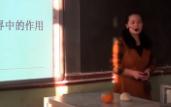 第四节《细菌和真菌在自然界中的作用》河北