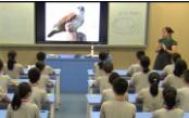 第三章《保护生物的多样性》初中生物人教版-重庆市长征学校