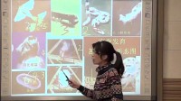第二节《昆虫的生殖和发育》初中生物人教版-天津