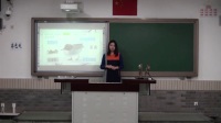 《和野生动物交朋友—识鸟》说课-路莹_北京市中小学教师教学基本功展示一等奖
