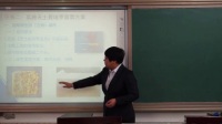 综合实践《无土栽培芽苗菜》说课-宋明杨_北京市中小学教师教学基本功展示一等奖录像视频