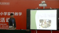 第三届全国小学科学教师实验教学说课视频《它们吸水吗?》戴冬宁-广州市