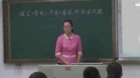 全国中学历史录像课评比视频七年级探究《清明上河图》展现的社会风貌-大连嘉汇中学