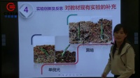 第四届全国高中生物教师实验教学说课视频《探究小麦胚芽鞘的向光性》一等奖-高颖-南京