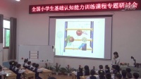 全国小学生基础认知能力训练观察记忆综合训练研讨课《调皮的风先生》广东省佛山王玲玲