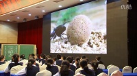 第二届全国初中“语文主题学习”课堂教学竞赛决赛【视频】臧宝静: 《昆虫记》导读教学设计下