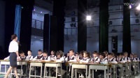 第二届全国小学“语文主题学习”课堂教学竞赛决赛王玉兰《童年的发现》