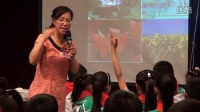 第九届全国小学“语文主题学习”观摩研讨会《太阳是大家的》(第七场)02