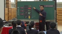 全国苏教版小学数学第五届优秀课评比视频《综合与实践:树叶中的比》王恒干