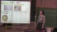 第五届全国小学科学实验教学说课视频《有趣的食物链》---拯救松树林-西安