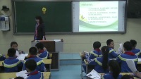 2017年小学品德与社会课堂教学优质课评比视频《采集民族之花》金水区
