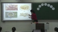 2017年小学品德课堂教学优质课评比视频《花草树木点头笑》张丽