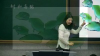 小学语文人教课标版(部编)一年级下册6《树和喜鹊》-吉林国家级优质课视频