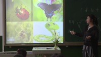 湘美课标版四年级上册5《草丛中》陕西国家级优质课