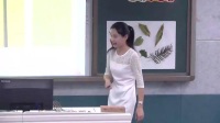 小学美术人教版二年级下册第8课《叶子上的小“血管”》-湖南省 - 郴州国家级优质课录像视频