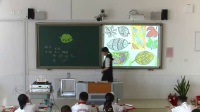 小学美术人教版二年级下册第8课叶子上的小“血管”-天津国家级优质课视频