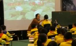 第三届全国小学“语文主题学习”课堂教学竞赛人教版三年级下《荷花》《珍珠泉》