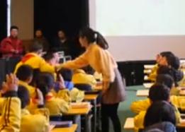 第三届全国小学“语文主题学习”课堂教学竞赛人教版二年级《丑小鸭》