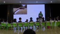 武汉市幼儿教师社会活动课优质课教学比赛《社 一根羽毛也不能动(5-6)1》