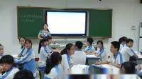 初中道德与法治人教课标版部编八年级上册第九课树立总体国家安全观-广东