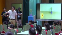 2017年浙江省小学科学疑难问题培训录像(萧山)研究课《观察一棵植物》