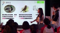 第七届福建省初中生物学科教学研讨会观摩课《鸟》陈-福建