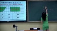 小学数学人教版五年级上册6平行四边形的面积-湖北省京山