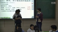 人教版初中生物七年级上册第一节种子的萌发(一)罗湖初中