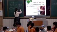 ʦ桶ѧ꼶²ĵԪʮµڶ4.12.2͸о١ĽṹӾγ-ʡ - Ȫ