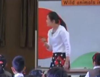 ϺСѧӢѧƿ07ţ2AM4U2-2 Wind animals in the forest