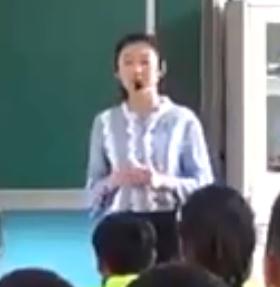 ʦСѧѧ꼶ϲᡶʡſ