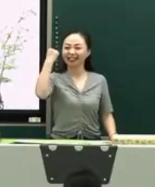 ˽̰Сѧ꼶ϲ13Ρ滮ÿһ졷ӱʡ - 