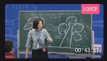 第十三届全国初中英语课堂教学观摩培训课例Topic 2 All these problems are very serious【27】福建