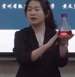 第十一届全国高中青年数学教师优质课大赛《椭圆及其标准方程》贵州—黄